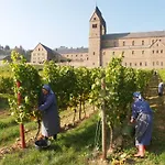 Hotel Trapp Rüdesheim am Rhein