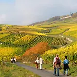 Trapp Hotel Rüdesheim am Rhein