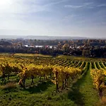 Trapp Rüdesheim am Rhein