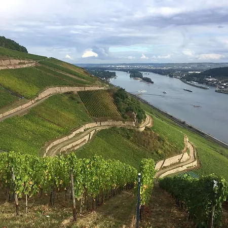 Trapp Rüdesheim am Rhein