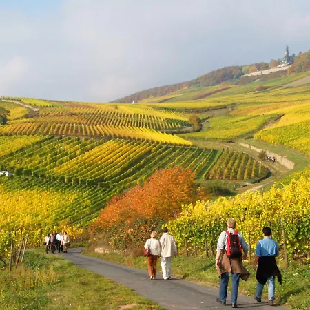 Trapp Hotel Ruedesheim am Rhein
