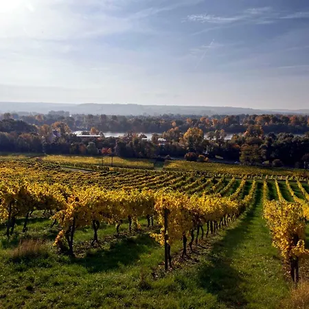 Trapp Rüdesheim am Rhein