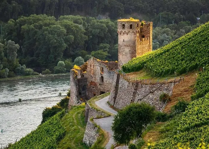 Trapp 3* Ruedesheim am Rhein