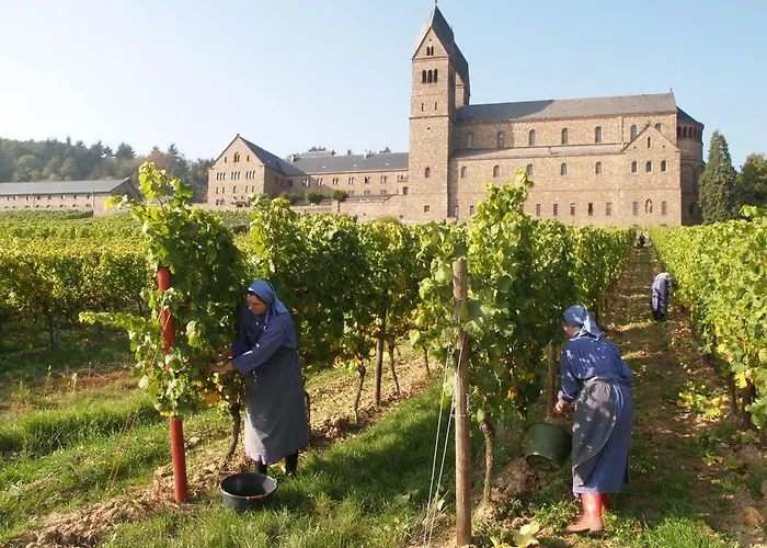 Hotel Trapp Rüdesheim am Rhein