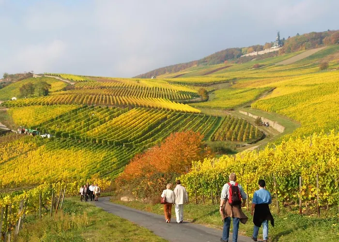 Trapp Hotel Rüdesheim am Rhein