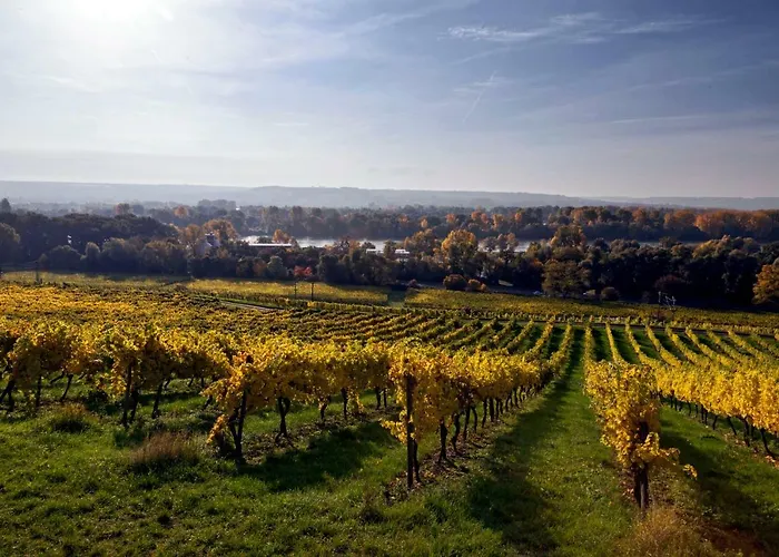 Trapp Ruedesheim am Rhein
